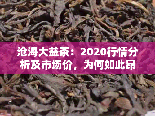 沧海大益茶：2020行情分析及市场价，为何如此昂贵？是否限量？