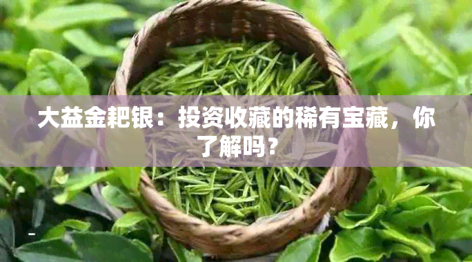 大益金耙银：投资收藏的稀有宝藏，你了解吗？