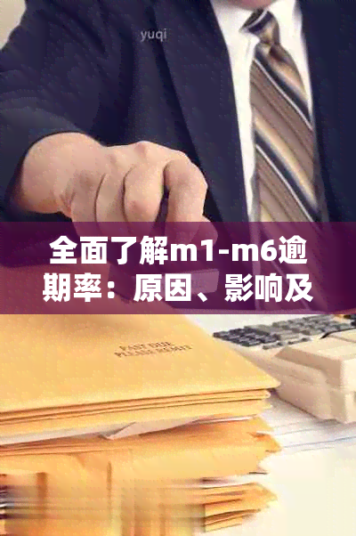 全面了解m1-m6逾期率：原因、影响及解决办法，为您提供准确数据和实用建议