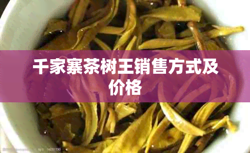 千家寨茶树王销售方式及价格