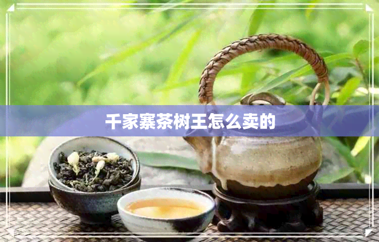 千家寨茶树王怎么卖的