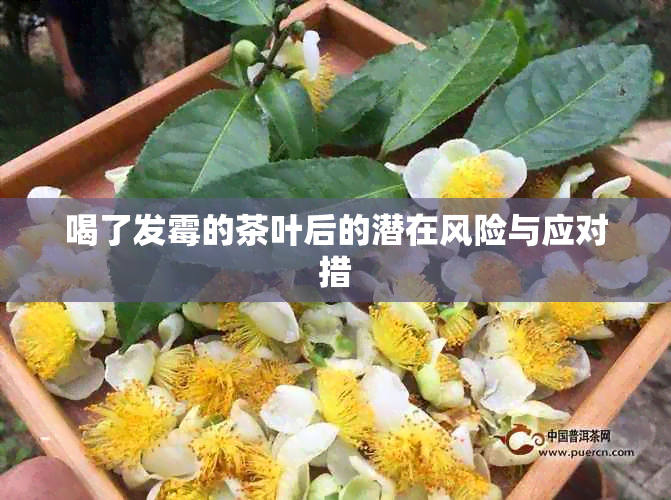 喝了发霉的茶叶后的潜在风险与应对措