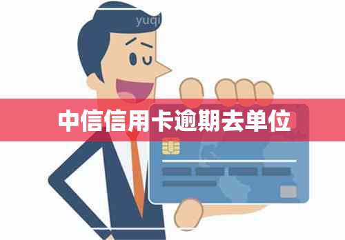 中信信用卡逾期去单位