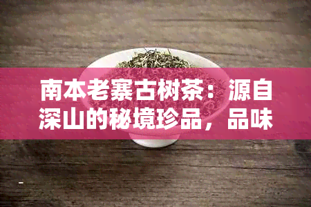 南本老寨古树茶：源自深山的秘境珍品，品味千年传承与独特风味