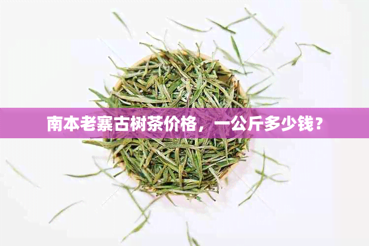 南本老寨古树茶价格，一公斤多少钱？