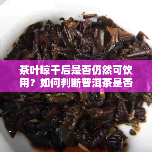 茶叶晾干后是否仍然可饮用？如何判断普洱茶是否过期？