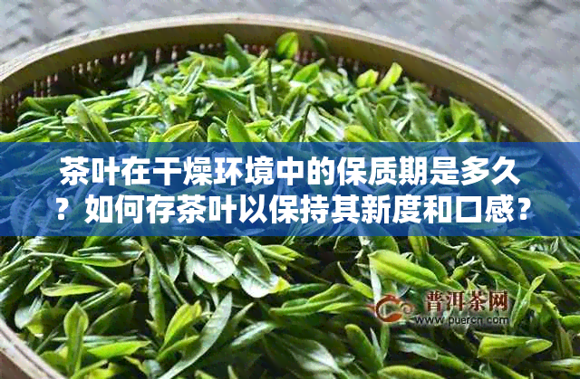 茶叶在干燥环境中的保质期是多久？如何存茶叶以保持其新度和口感？