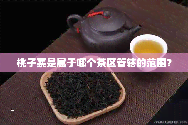 桃子寨是属于哪个茶区管辖的范围？