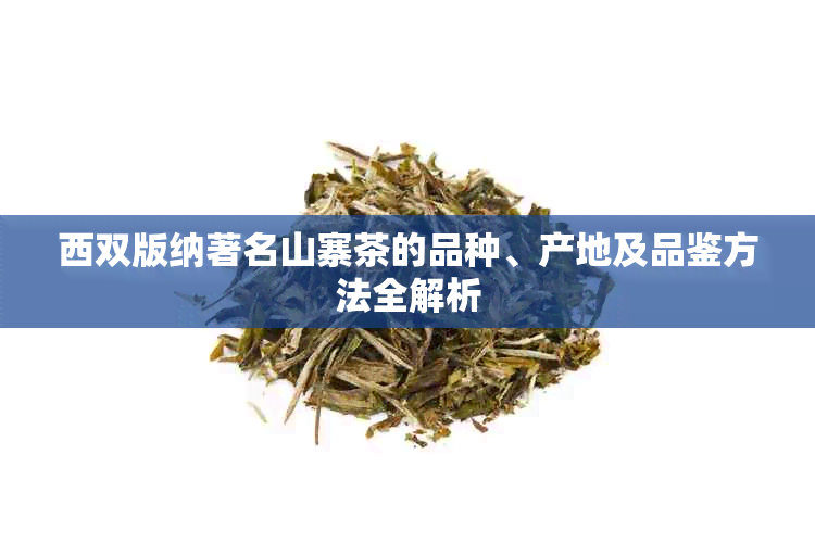 西双版纳著名山寨茶的品种、产地及品鉴方法全解析