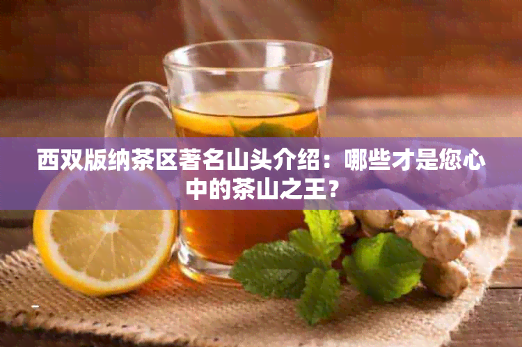 西双版纳茶区著名山头介绍：哪些才是您心中的茶山之王？