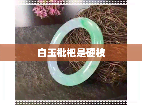 白玉枇杷是硬枝