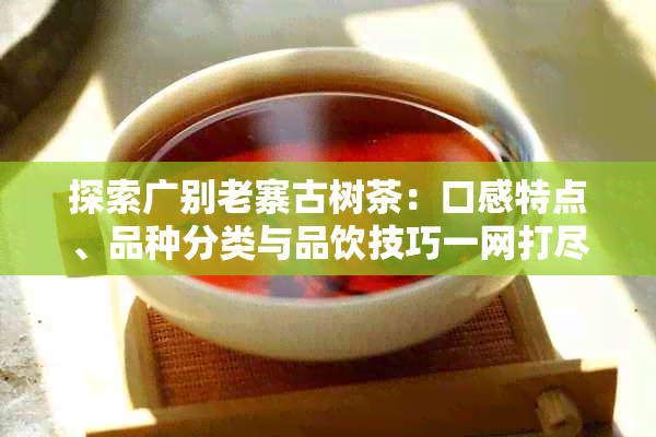 探索广别老寨古树茶：口感特点、品种分类与品饮技巧一网打尽