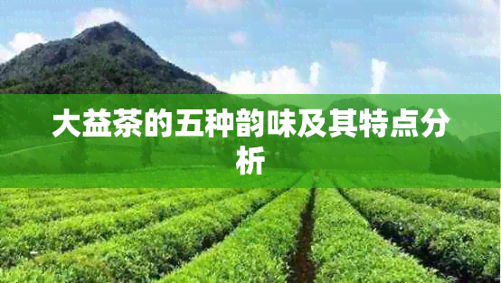 大益茶的五种韵味及其特点分析