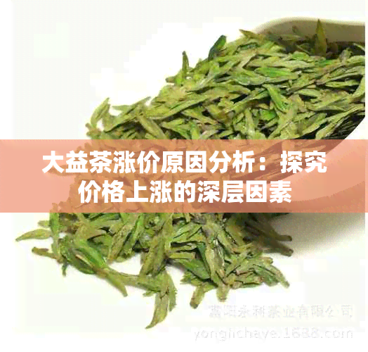 大益茶涨价原因分析：探究价格上涨的深层因素