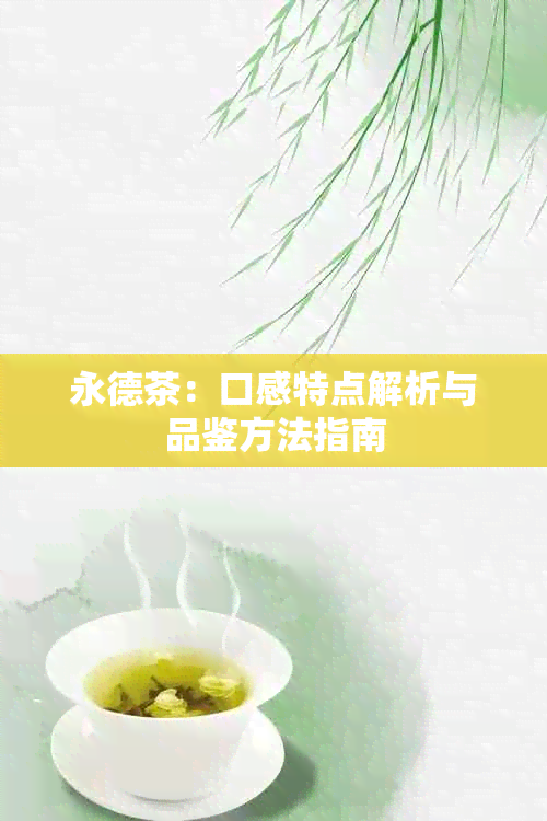 永德茶：口感特点解析与品鉴方法指南