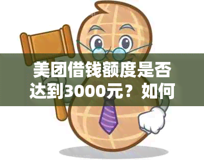 美团借钱额度是否达到3000元？如何申请？相关条件和利率说明