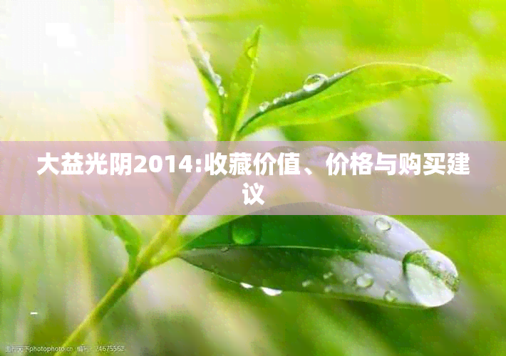 大益光阴2014:收藏价值、价格与购买建议