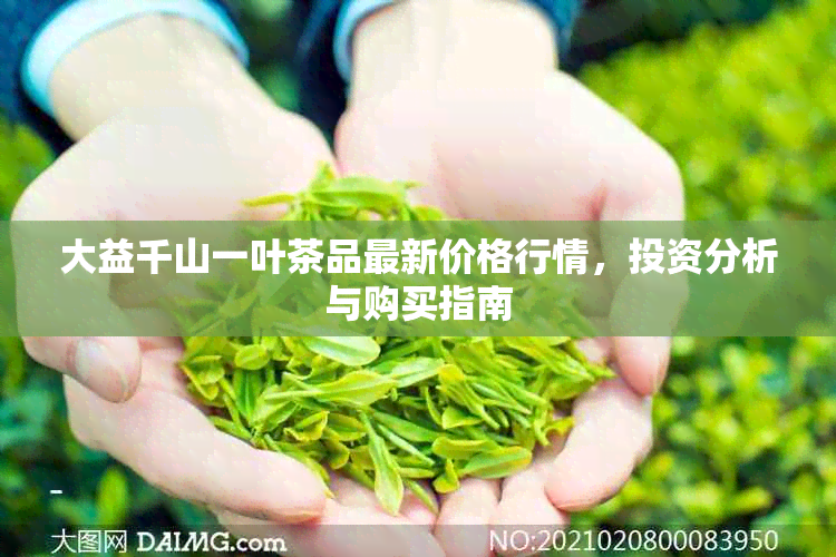 大益千山一叶茶品最新价格行情，投资分析与购买指南