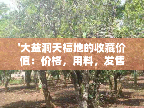 '大益洞天福地的收藏价值：价格，用料，发售信息，开，茶官网旗舰店'