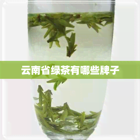 云南省绿茶有哪些牌子