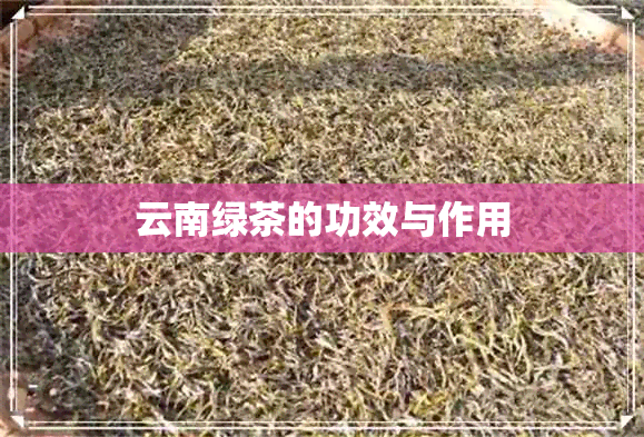 云南绿茶的功效与作用