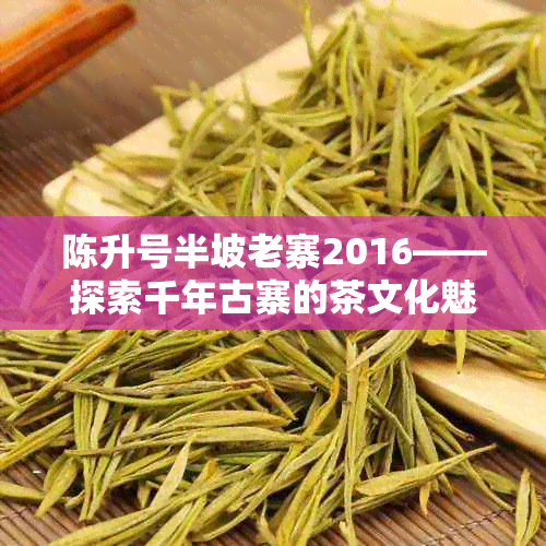 陈升号半坡老寨2016——探索千年古寨的茶文化魅力