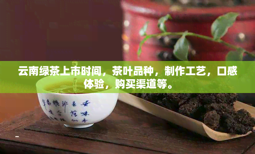 云南绿茶上市时间，茶叶品种，制作工艺，口感体验，购买渠道等。