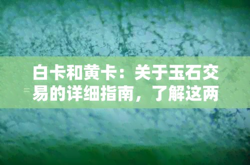 白卡和黄卡：关于玉石交易的详细指南，了解这两类卡片的重要性与区别