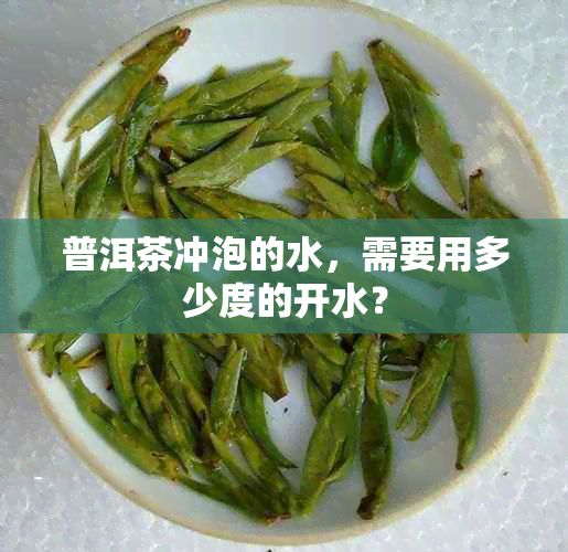 普洱茶冲泡的水，需要用多少度的开水？