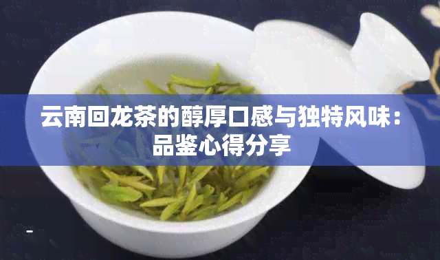 云南回龙茶的醇厚口感与独特风味：品鉴心得分享