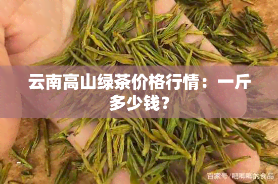 云南高山绿茶价格行情：一斤多少钱？