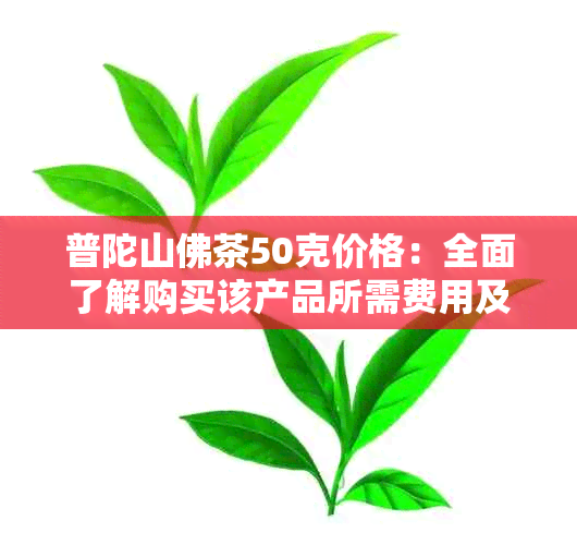 普陀山佛茶50克价格：全面了解购买该产品所需费用及相关信息