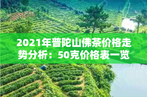 2021年普陀山佛茶价格走势分析：50克价格表一览