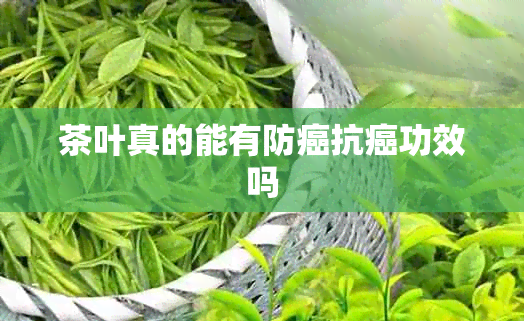 茶叶真的能有防癌抗癌功效吗