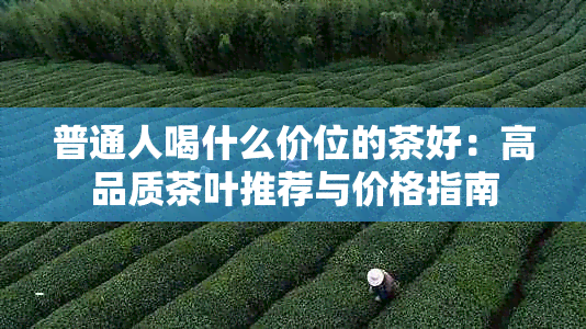 普通人喝什么价位的茶好：高品质茶叶推荐与价格指南