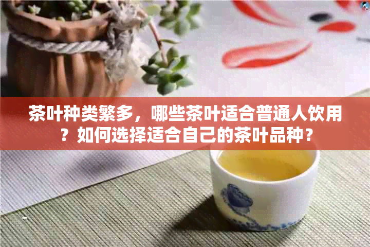 茶叶种类繁多，哪些茶叶适合普通人饮用？如何选择适合自己的茶叶品种？