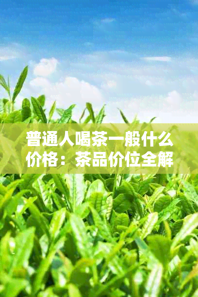 普通人喝茶一般什么价格：茶品价位全解析