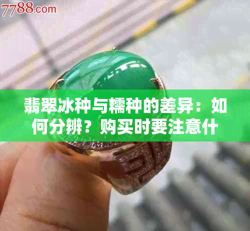 翡翠冰种与糯种的差异：如何分辨？购买时要注意什么？