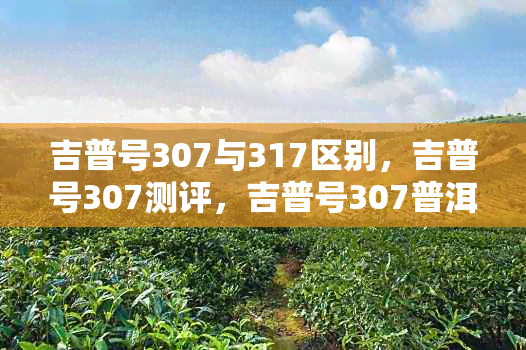 吉普号307与317区别，吉普号307测评，吉普号307普洱，吉普号307怎样？