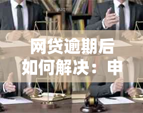 网贷逾期后如何解决：申请停息挂账的正确方式与条件