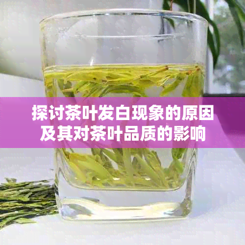 探讨茶叶发白现象的原因及其对茶叶品质的影响