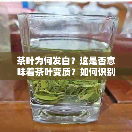 茶叶为何发白？这是否意味着茶叶变质？如何识别与处理方法有哪些？