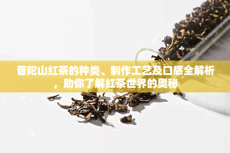 普陀山红茶的种类、制作工艺及口感全解析，助你了解红茶世界的奥秘