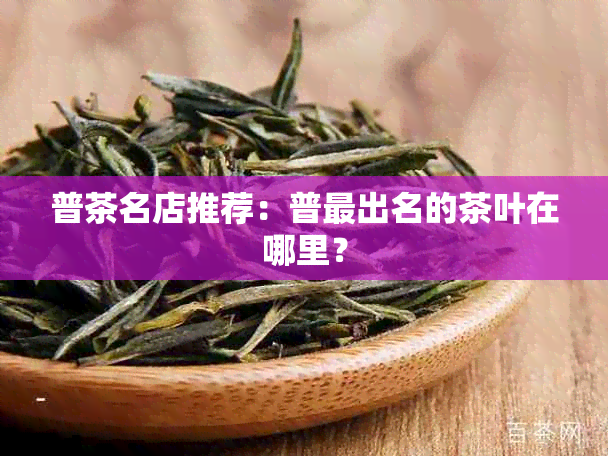 普茶名店推荐：普最出名的茶叶在哪里？