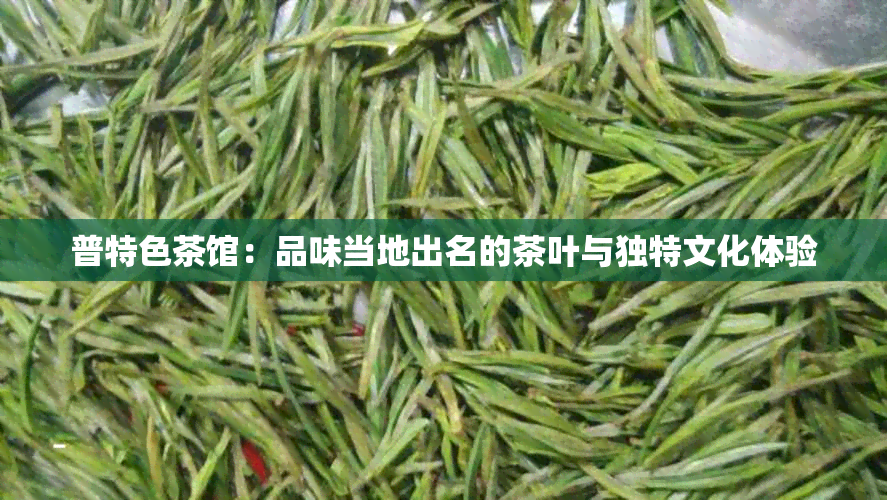 普特色茶馆：品味当地出名的茶叶与独特文化体验