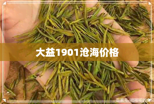 大益1901沧海价格