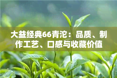 大益经典66青沱：品质、制作工艺、口感与收藏价值的全面解析