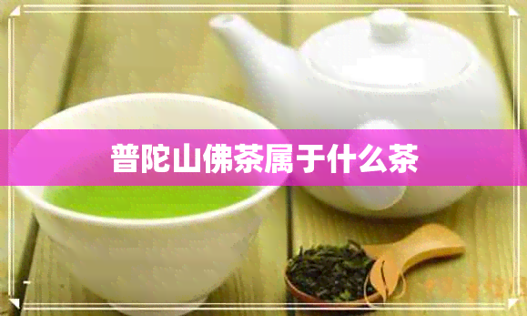 普陀山佛茶属于什么茶