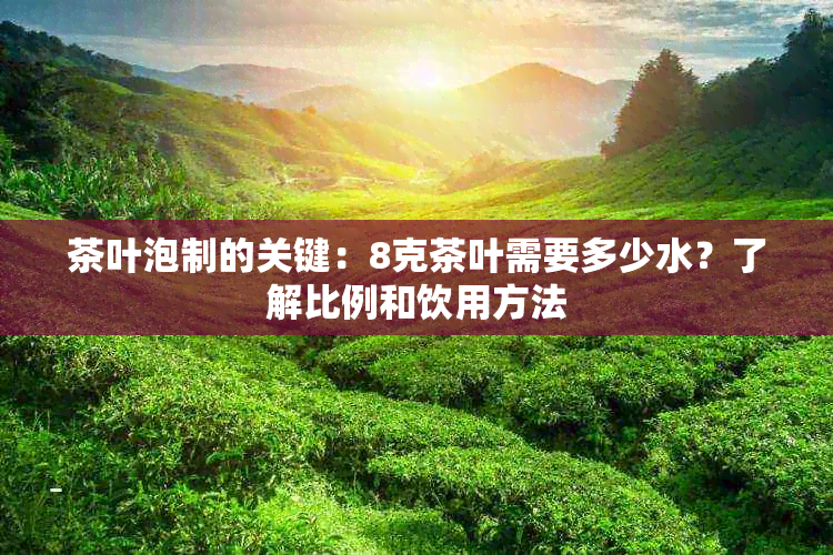 茶叶泡制的关键：8克茶叶需要多少水？了解比例和饮用方法