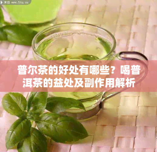 普尔茶的好处有哪些？喝普洱茶的益处及副作用解析